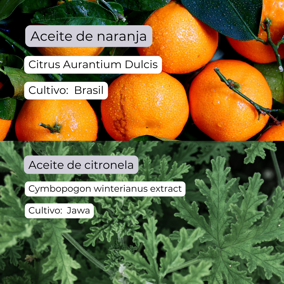 Mezcla de aceites esenciales – "Despierta tu mente“