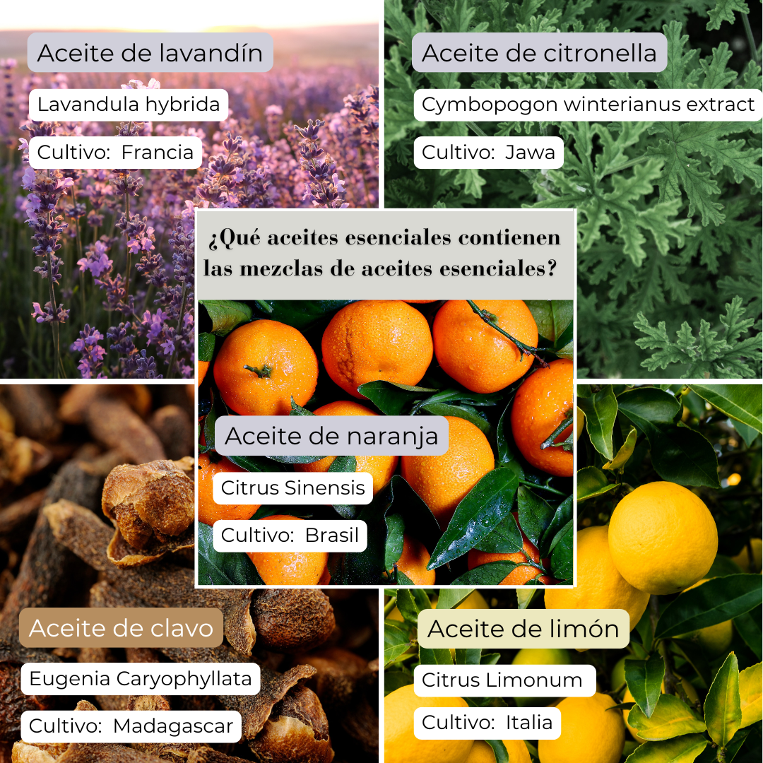 Difusor nebulizador Premium + Kit de inicio aromaterapia "Sweet Escape" - 3 x 10 ml