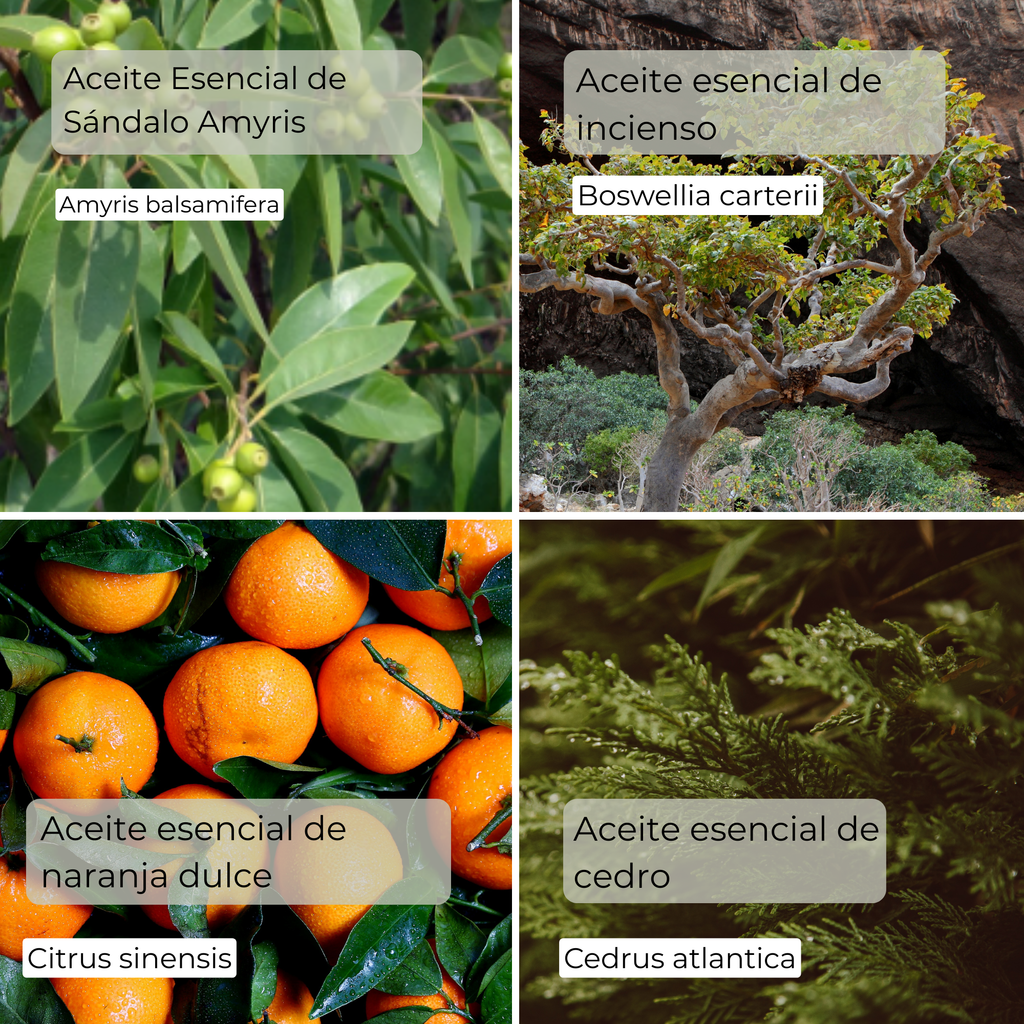 YOGA – Mezcla de aceites esenciales 100 % puros – 5 ml