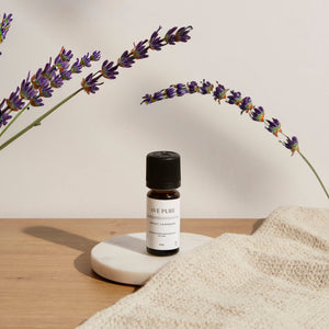 Paz Interior · Sweet Lavender