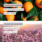 Mezcla de aceites esenciales "Paz interior" para relajación y dormir bien